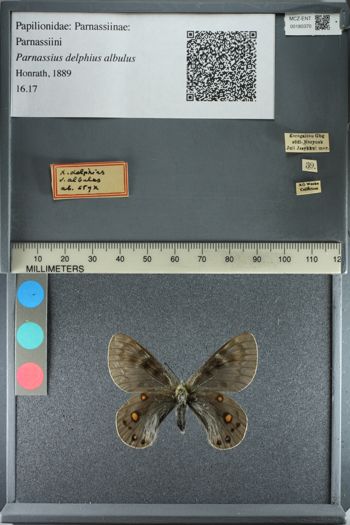 Media type: image;   Entomology 180370